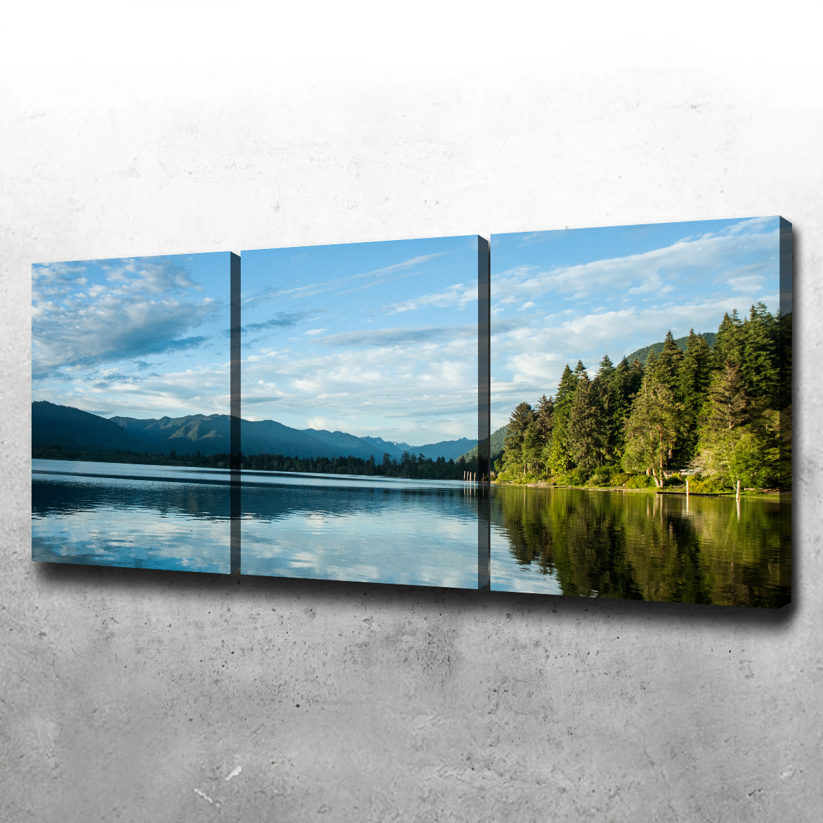 Stunning Lake Quinault Wall Art by Kyle Sherry