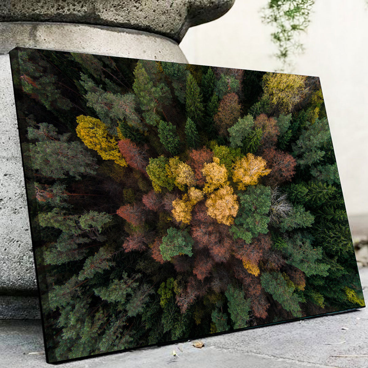 Vibrant Colorful Canopy Wall Art by Karolis Janulis