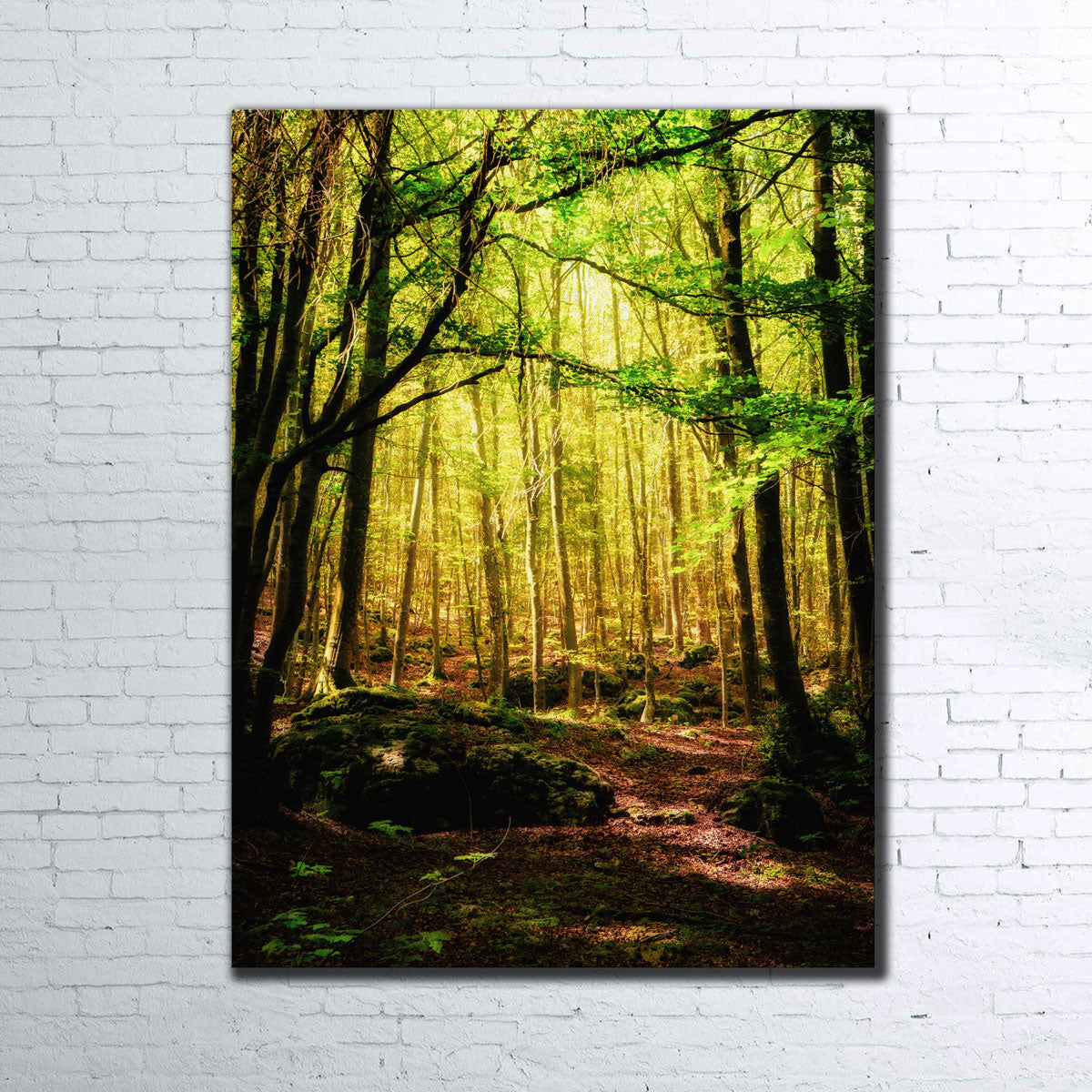 Enchanting Forest Vol. 1 Stunning Wall Art by Stefano Baltieri