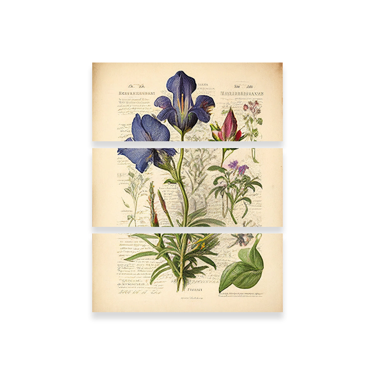 Exquisite Vintage Botanical Print Series 7 Wall Art for Home Decor