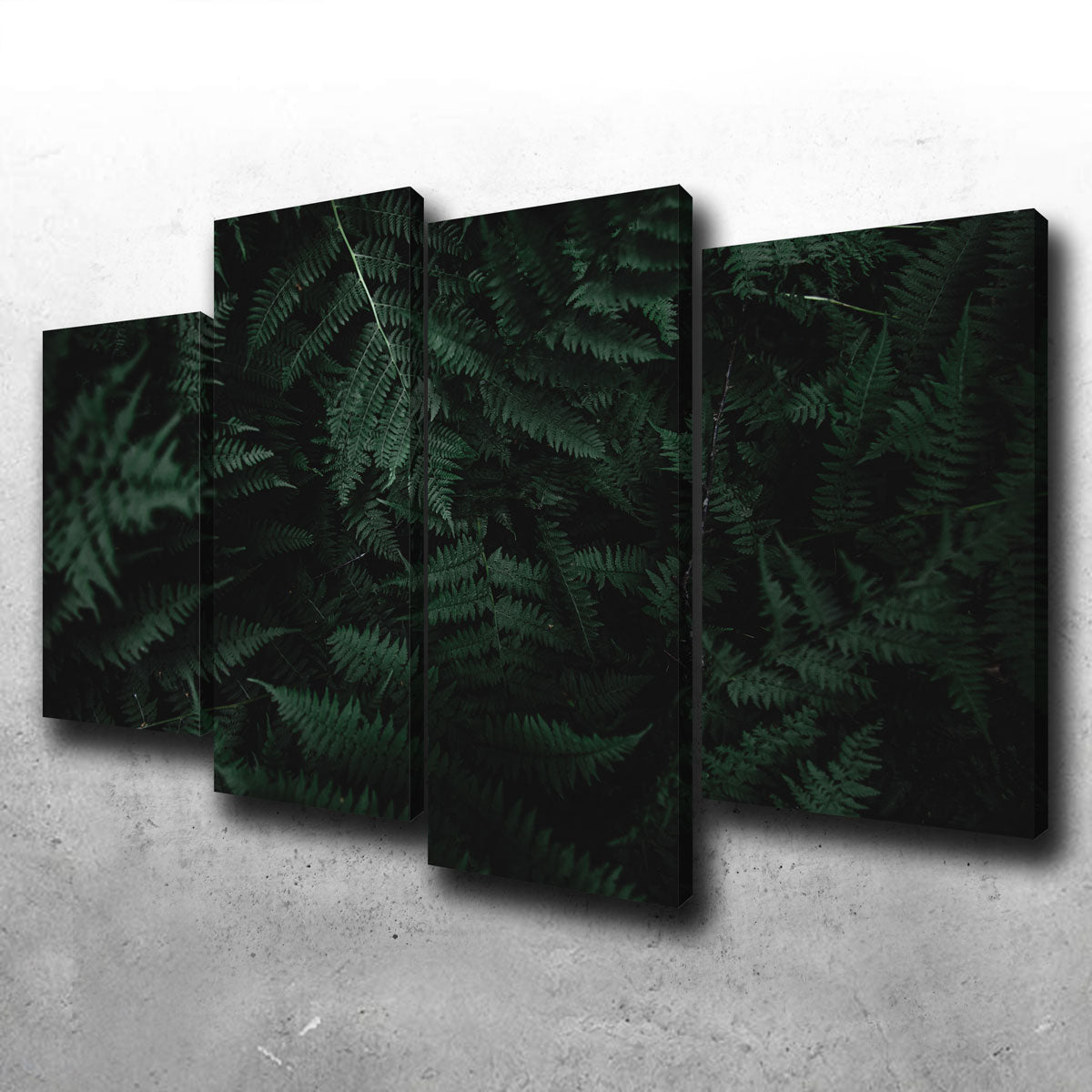 Stunning Ferns Wall Art by Lucas Moore