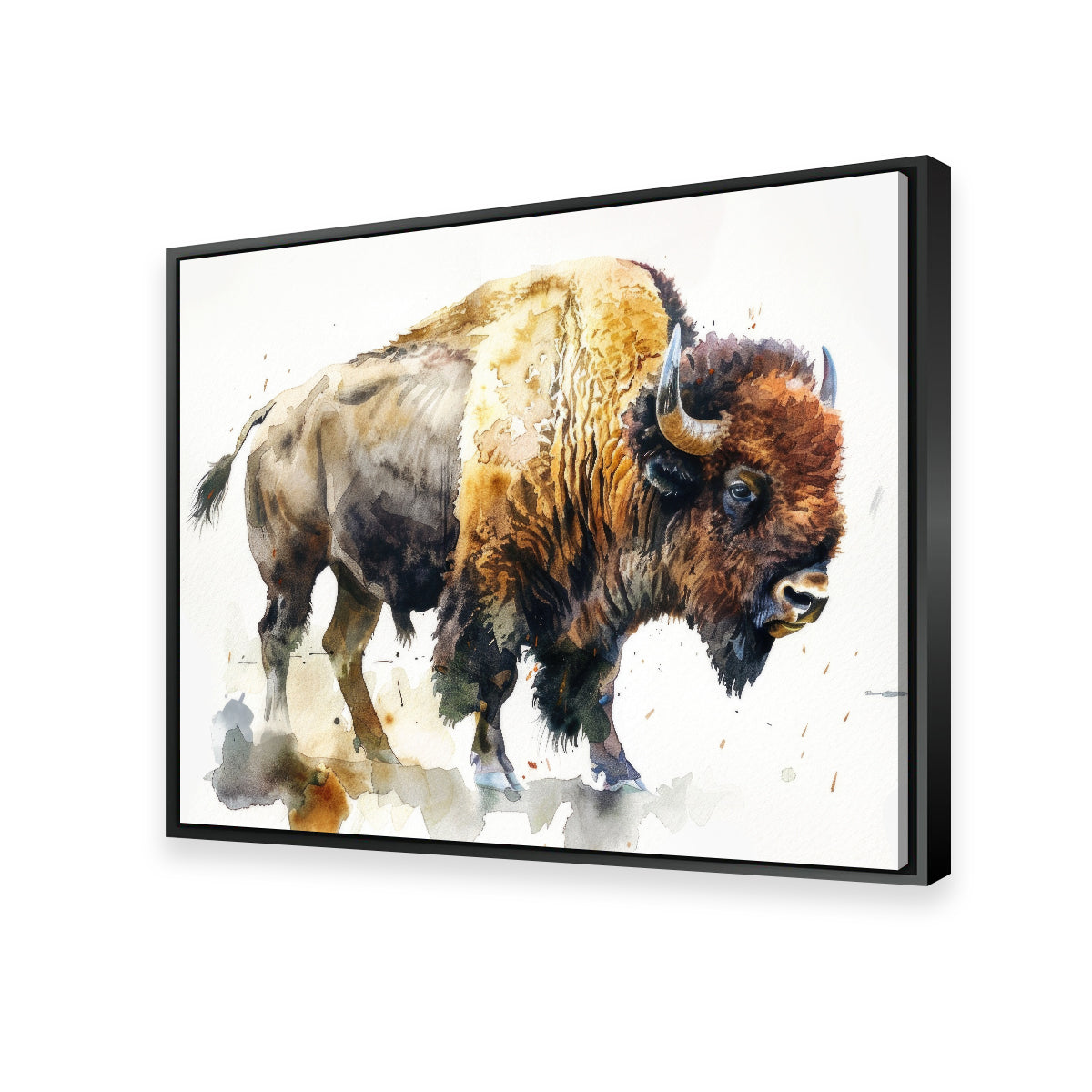 Exquisite Buffalo on White Wall Art - Ideal for Home Decor