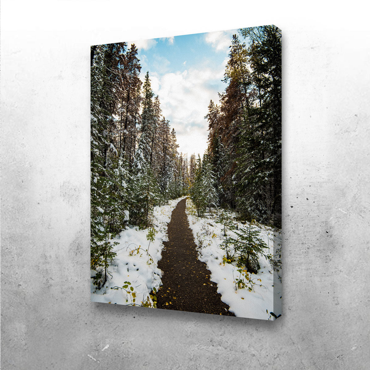 Stunning Winter Path Wall Art by Lucas Moore