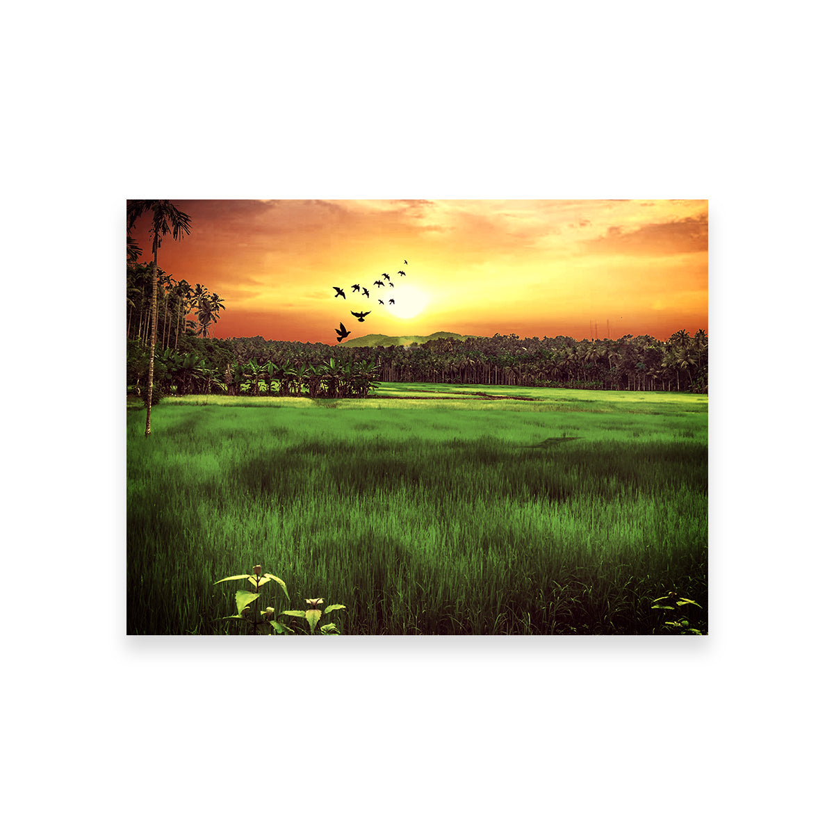Stunning Sunset Landscape Wall Art by Dina Rolle