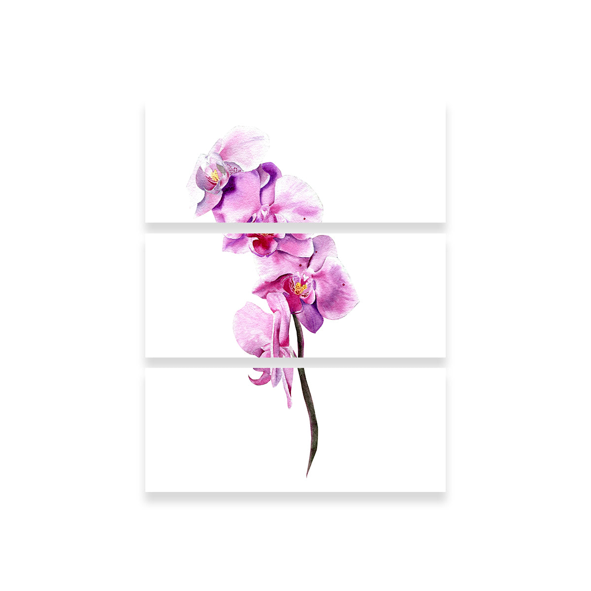 Exquisite Watercolor Orchid Wall Art for Home Decor