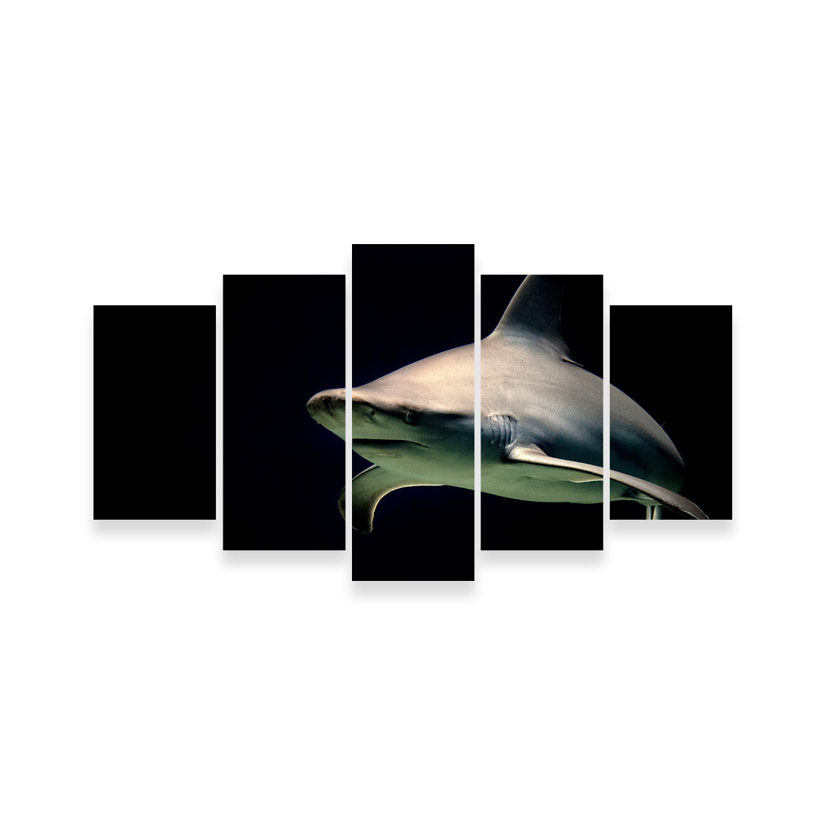 Stunning Bull Shark at Night Wall Art for Your Home Decor