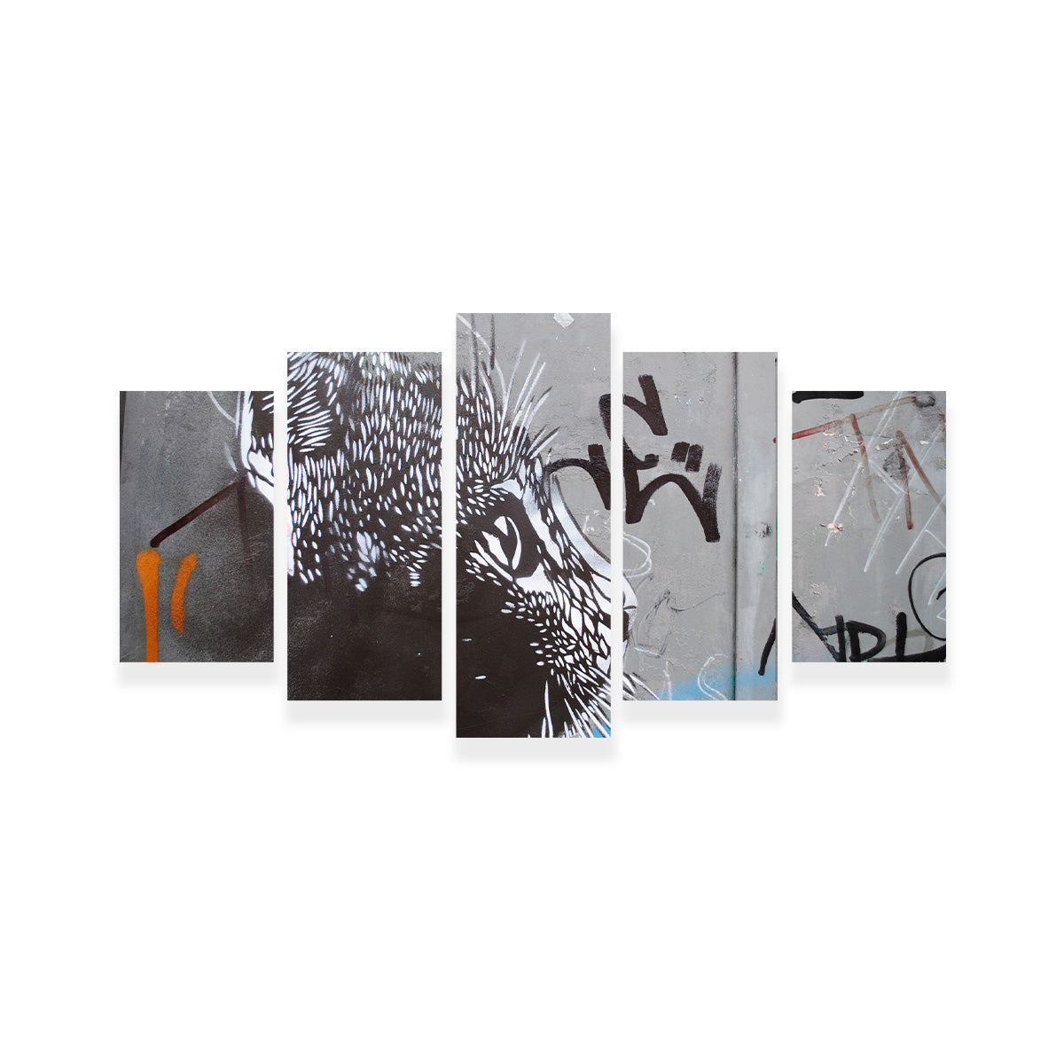 Eye - catching Street Art Cat Wall Art for Stunning Decor