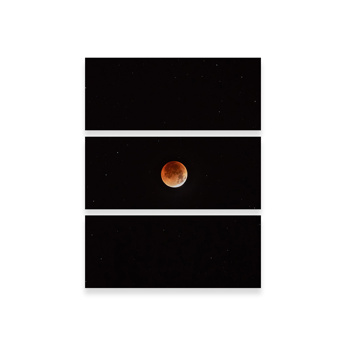 Enchanting Moon in the Shadow Wall Art by Sofia Leite Fonseca