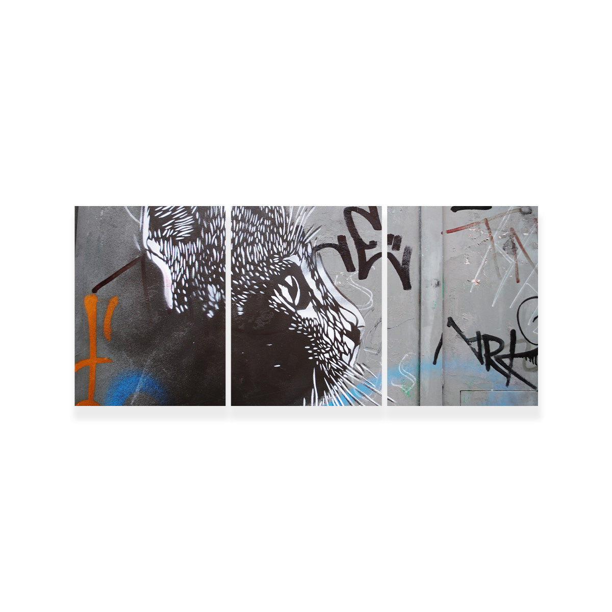 Eye - catching Street Art Cat Wall Art for Stunning Decor