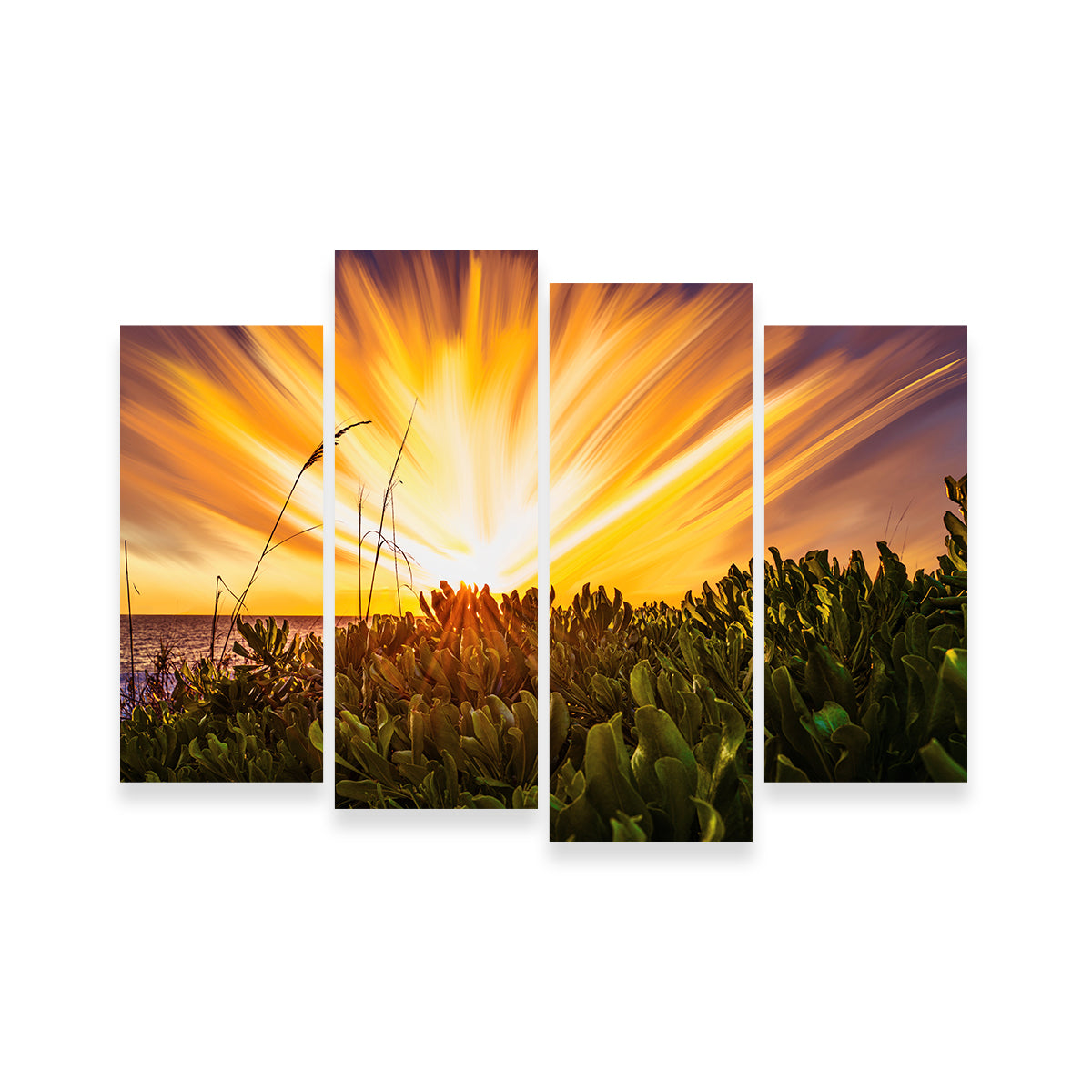 Stunning Exploding Sunset Wall Art by Eileen Rollin