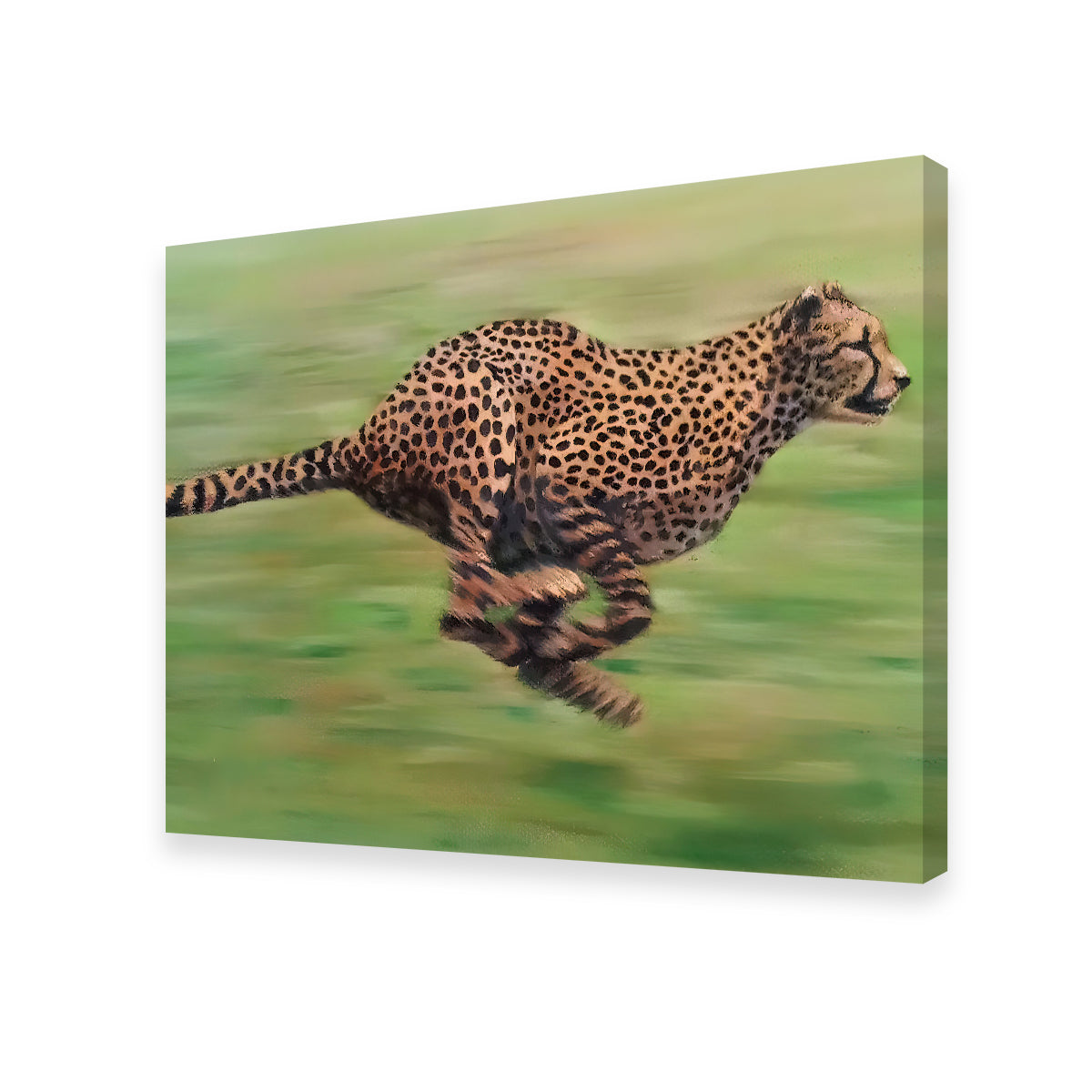 Fast Forward Wall Art by Patricia Jaggie - Premium Museum Quality Canvas Art