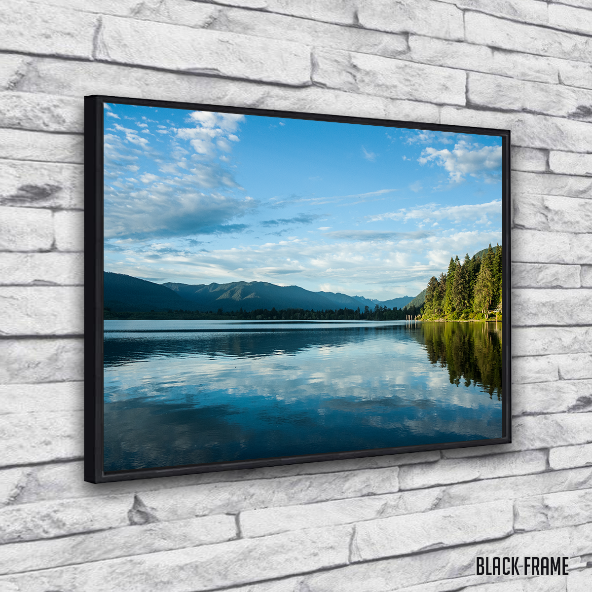Stunning Lake Quinault Wall Art by Kyle Sherry