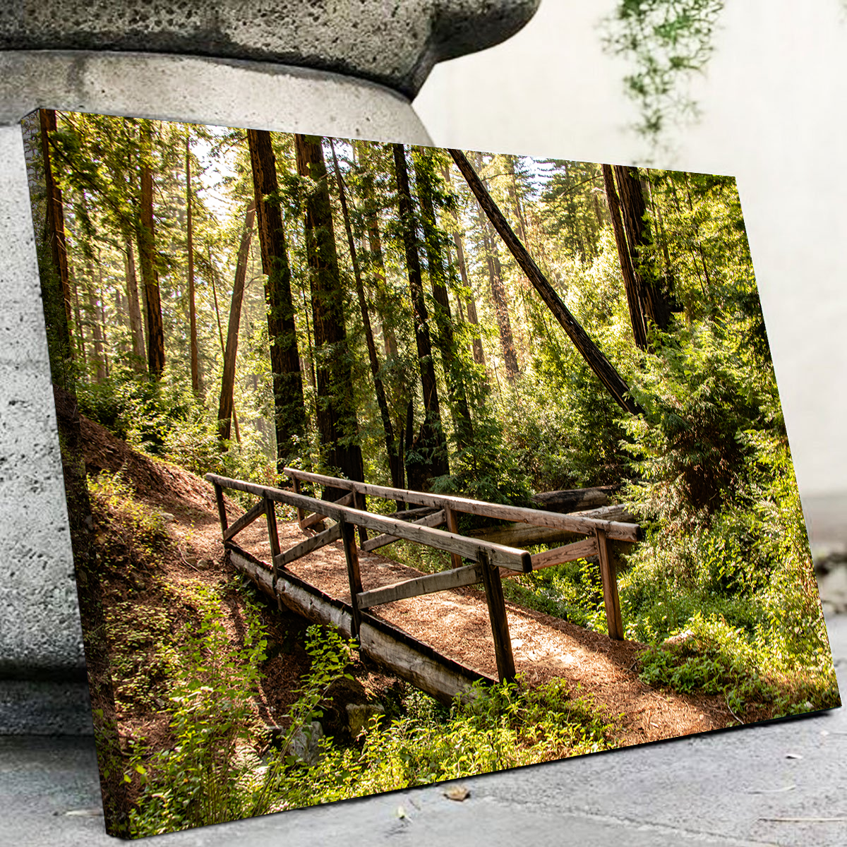 Stunning Ewoldsen Trail Bridge Wall Art by Kyle Sherry