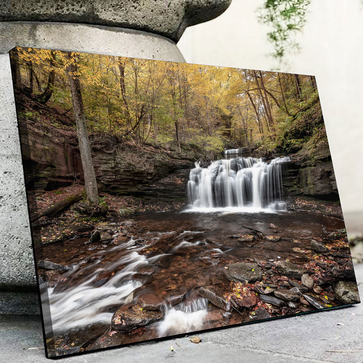 Stunning Who Loves Color Wall Art by Shaun Mayer