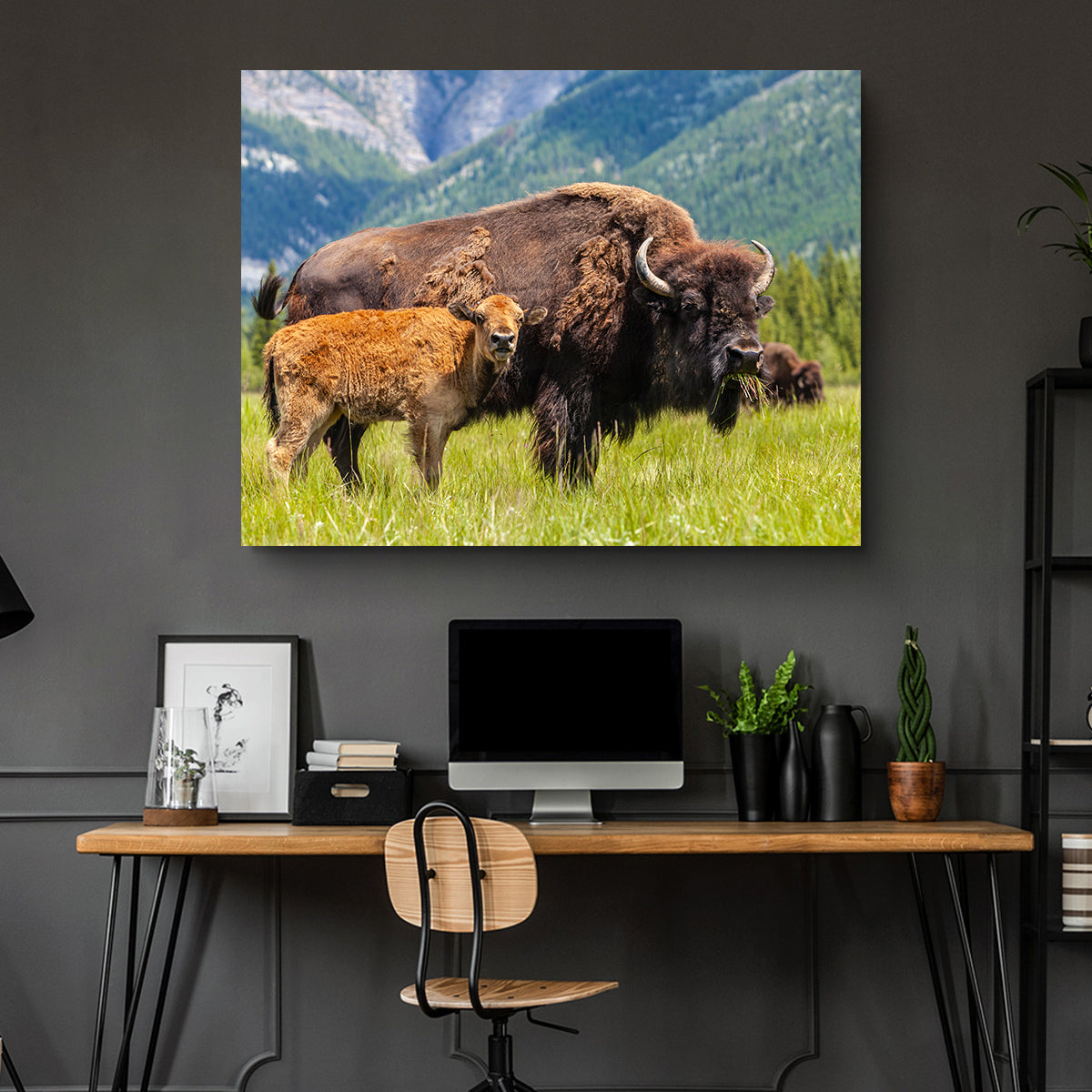 Stunning Buffalo with Calf Wall Art for Your Home Decor
