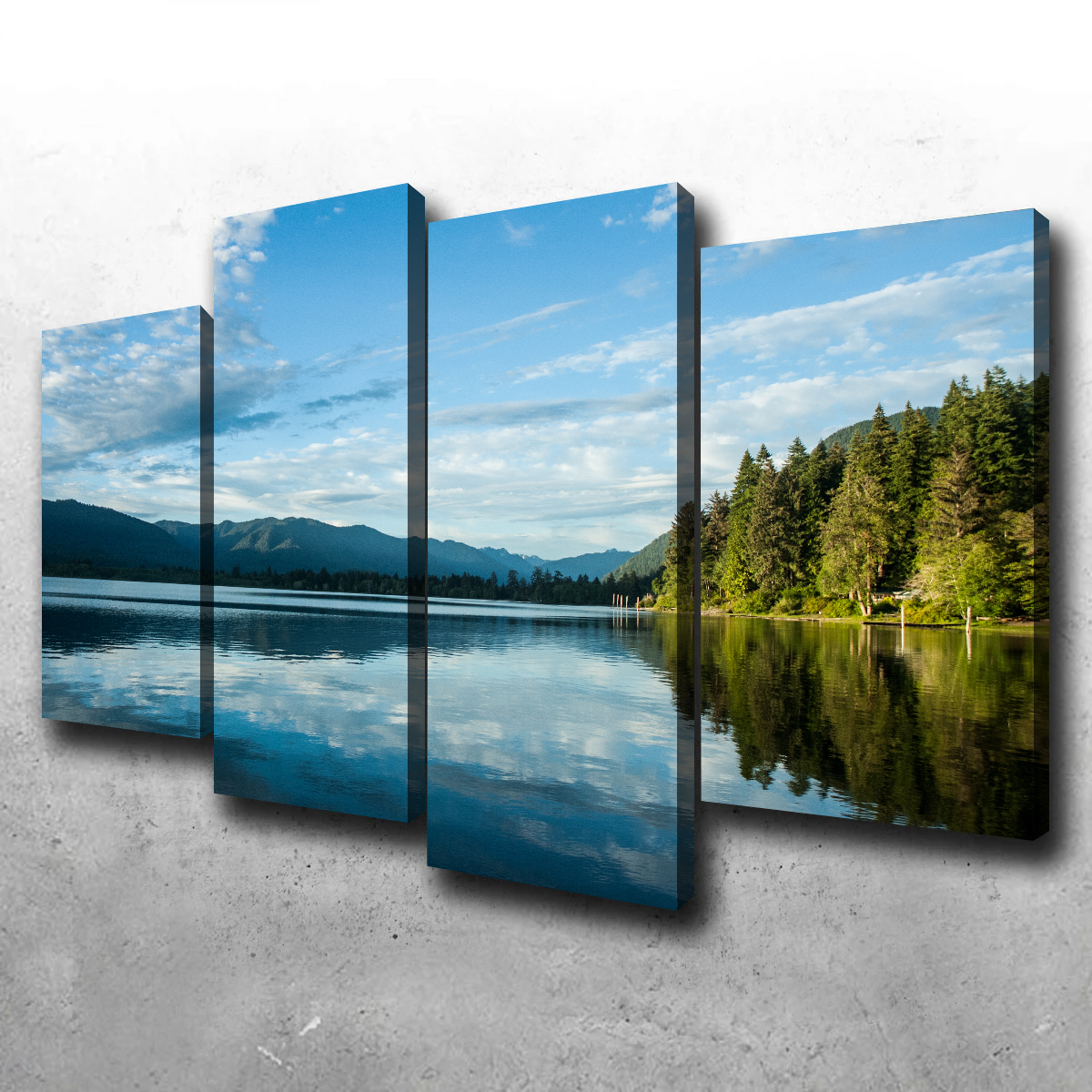 Stunning Lake Quinault Wall Art by Kyle Sherry