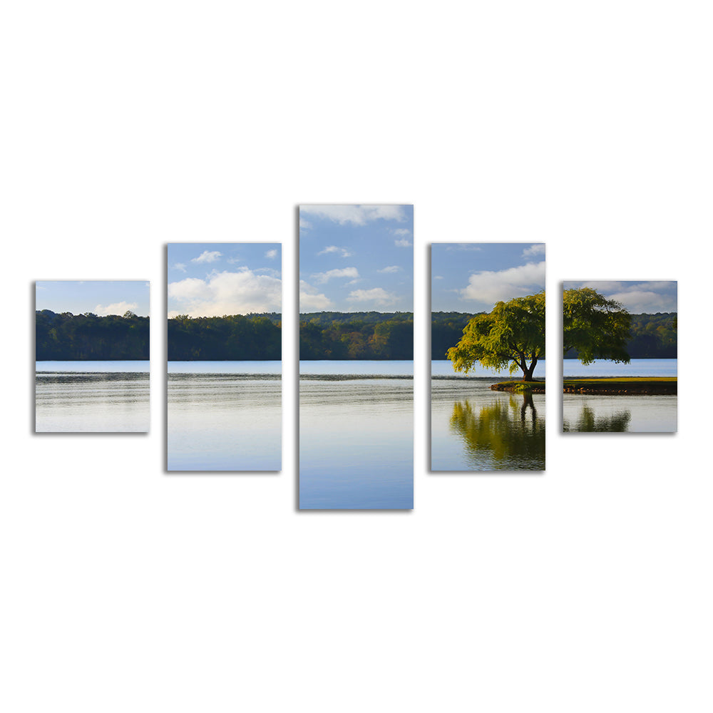 Stunning Willow Tree On The Tennessee River Wall Art for Your Home Decor
