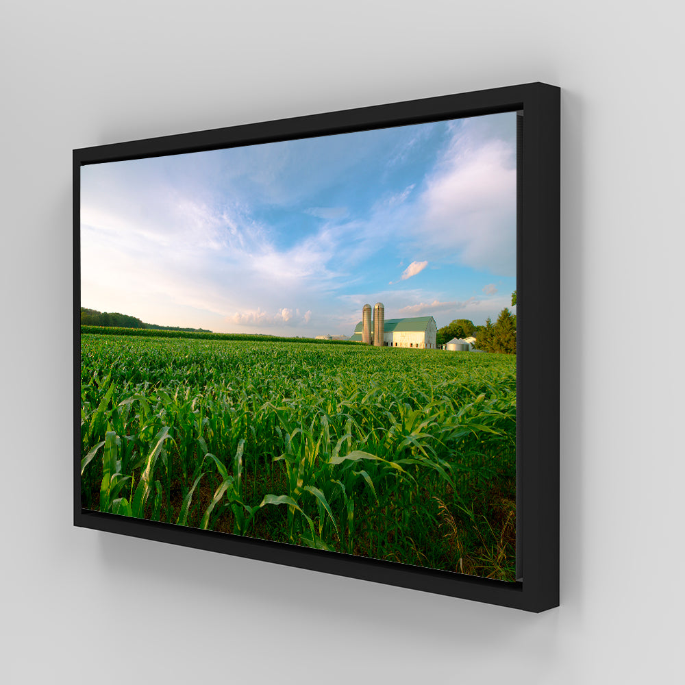 Exquisite Wisconsin Dairy Farm Against Corn Field Wall Art
