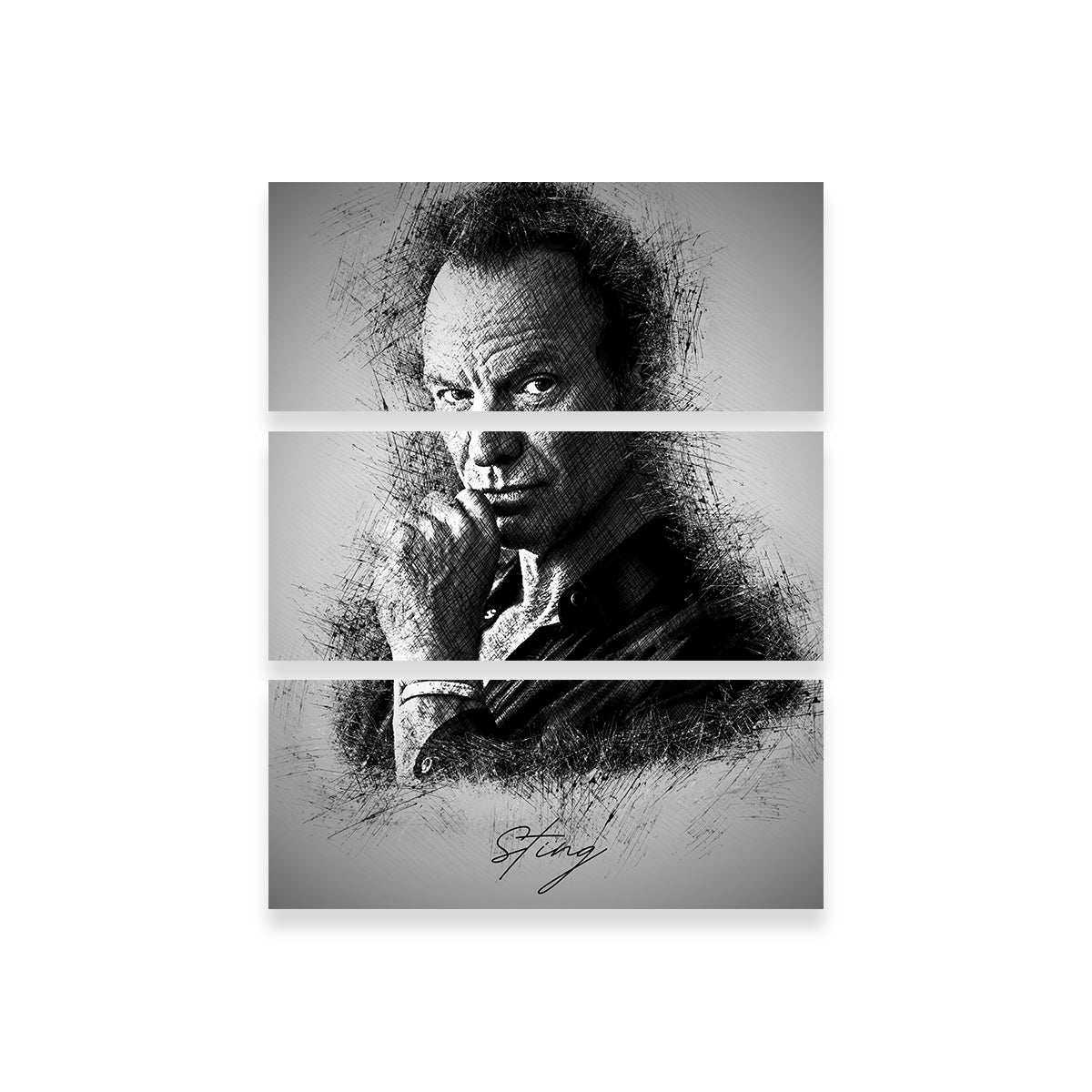 Stunning Sting Wall Art - Handmade Canvas Print