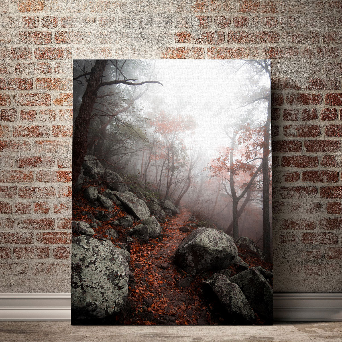 Enchanting Moody Forest Wall Art by Lucas Moore