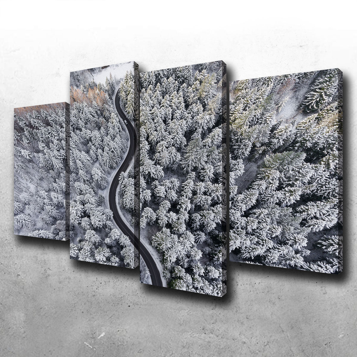 Enchanting Winding Winter Wall Art by Karolis Janulis