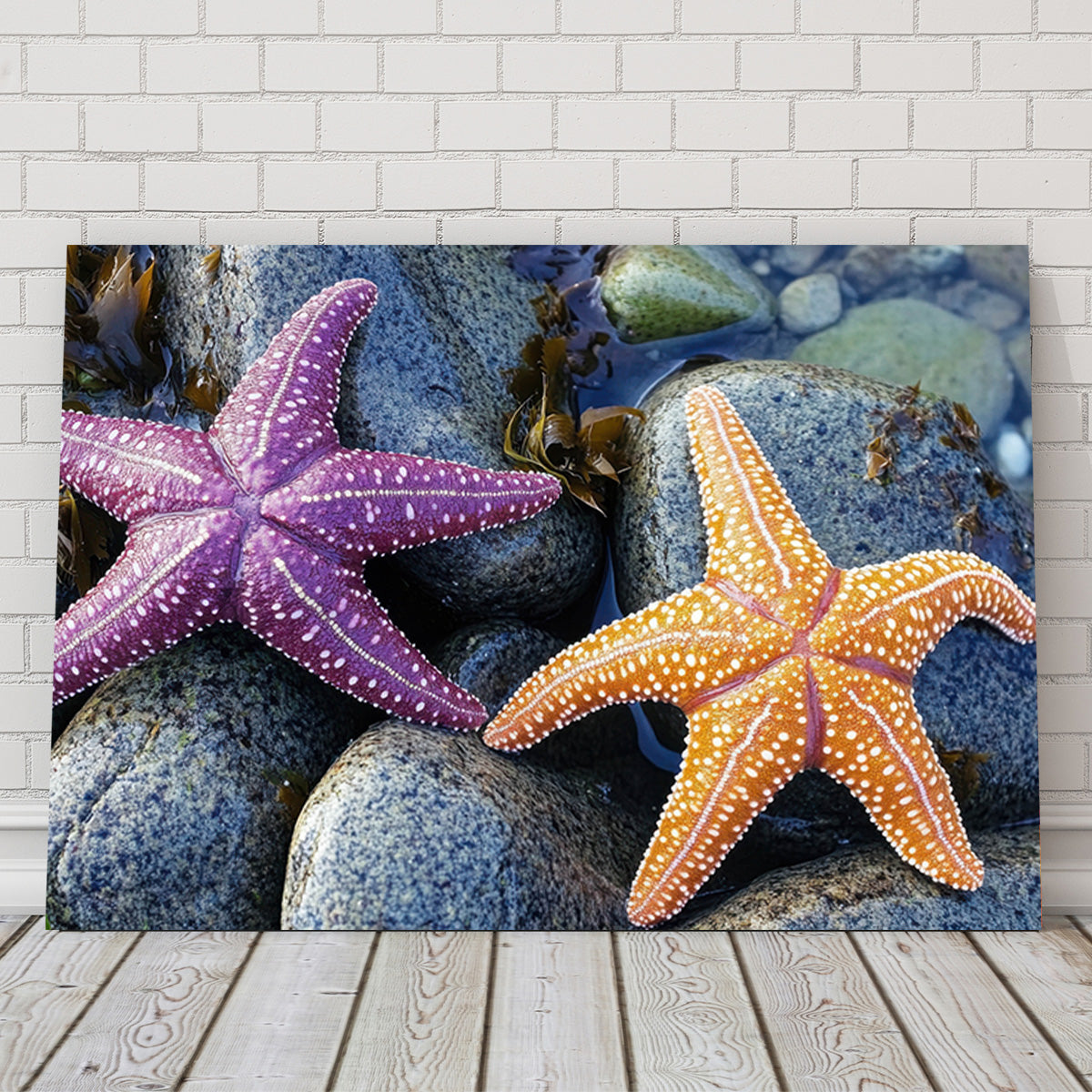 Vibrant Colorful Starfishes Wall Art for Stunning Decor