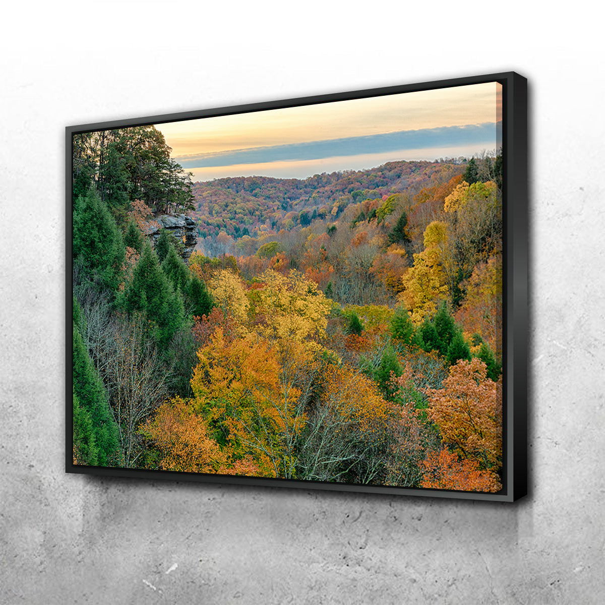 Conkle's Hollow State Nature Preserve Stunning Wall Art - Sustainable and Museum-Quality