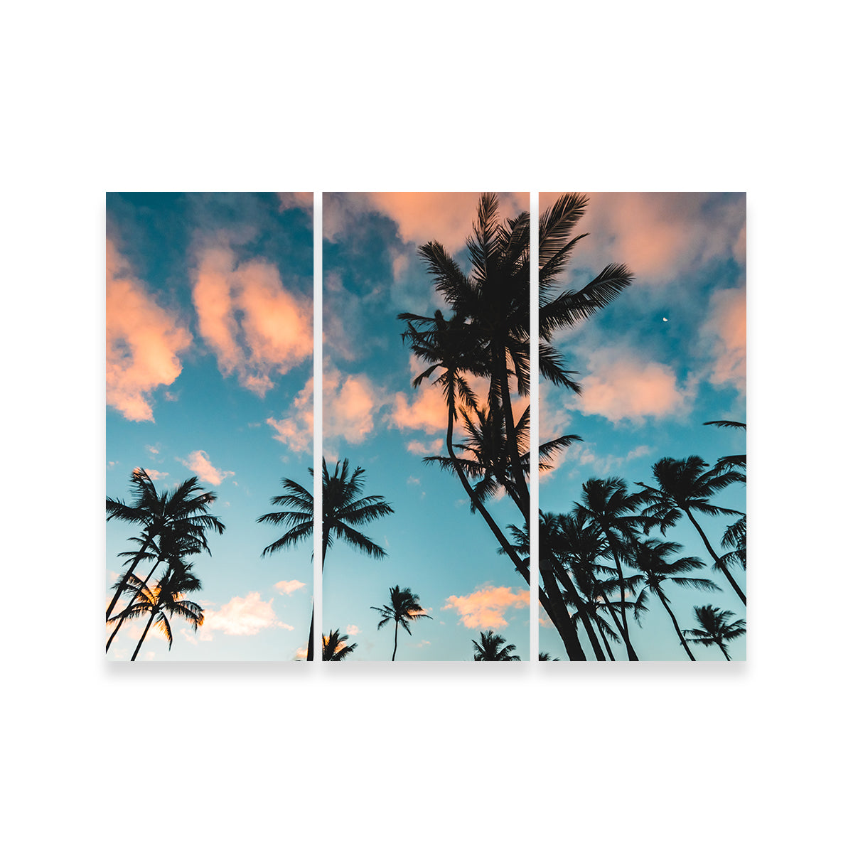 Exquisite Tropical Sunrise Wall Art by Lucas Moore