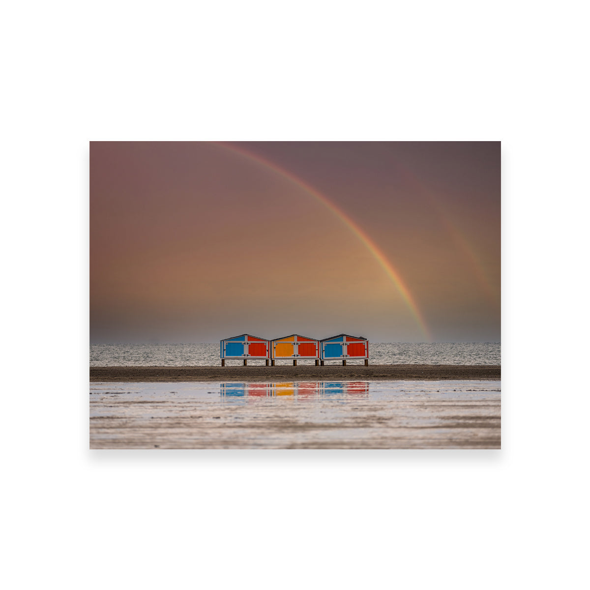 Exquisite Wildwood Wall Art by Dennis Maida