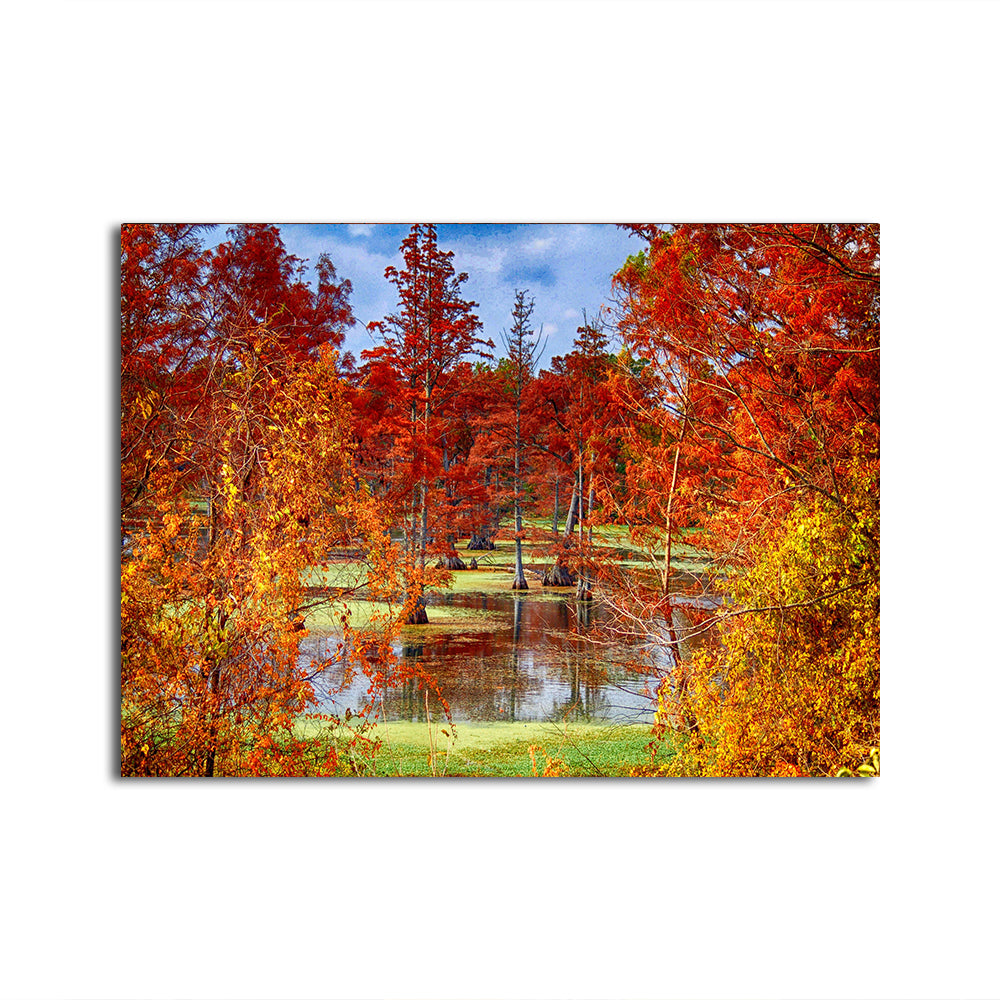 Stunning Lake Conway Cypress Trees Wall Art for Your Home Decor