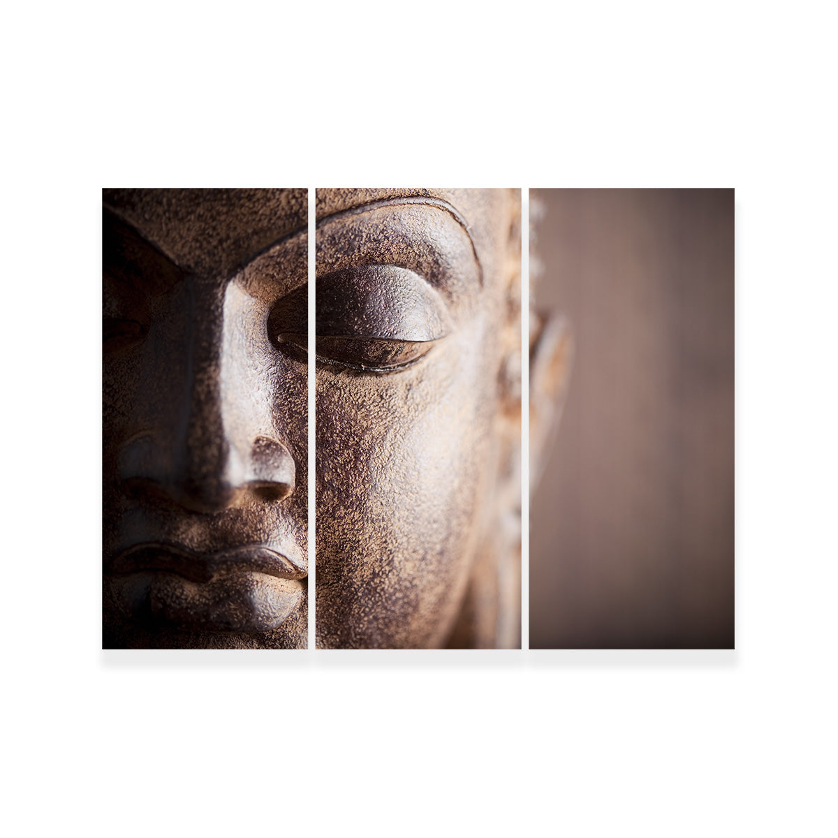 Exquisite Buddha's Head Canvas Print