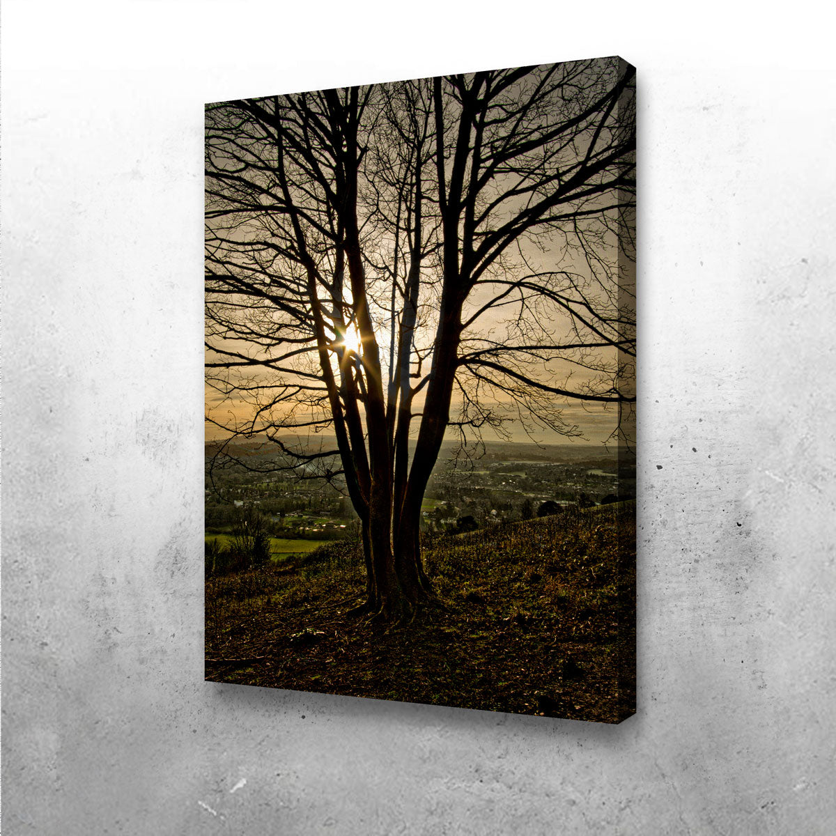 Stunning Box Hill Sunset Wall Art by Mike Cotton