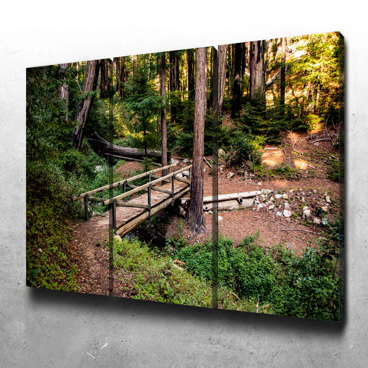 Stunning Ewoldsen Loop Bridge Wall Art by Kyle Sherry