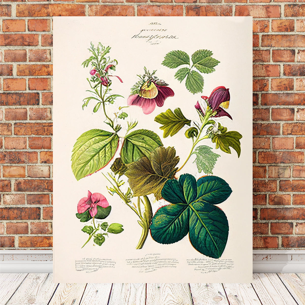 Exquisite Vintage Botanical Print Series 6 Wall Art by Jennifer Hotai