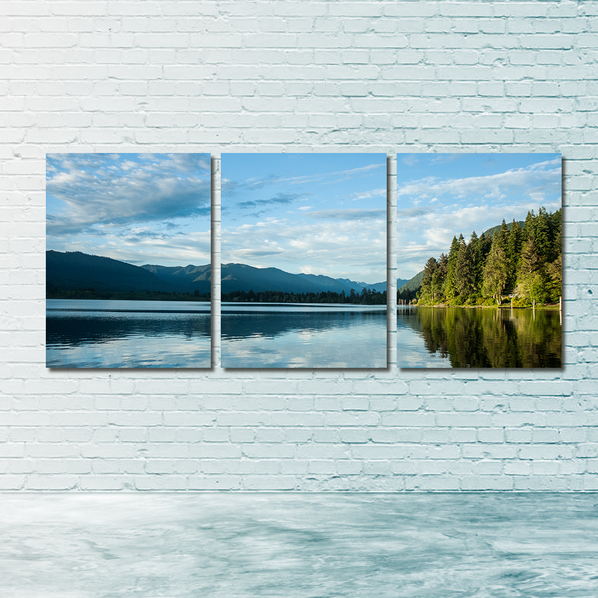 Stunning Lake Quinault Wall Art by Kyle Sherry