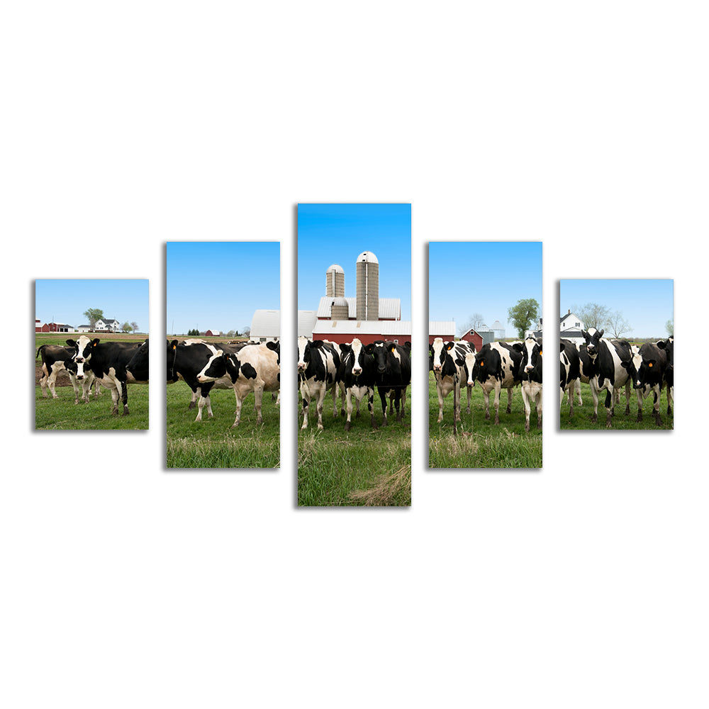 Stunning Wisconsin Dairy Cows Wall Art for Home Decor