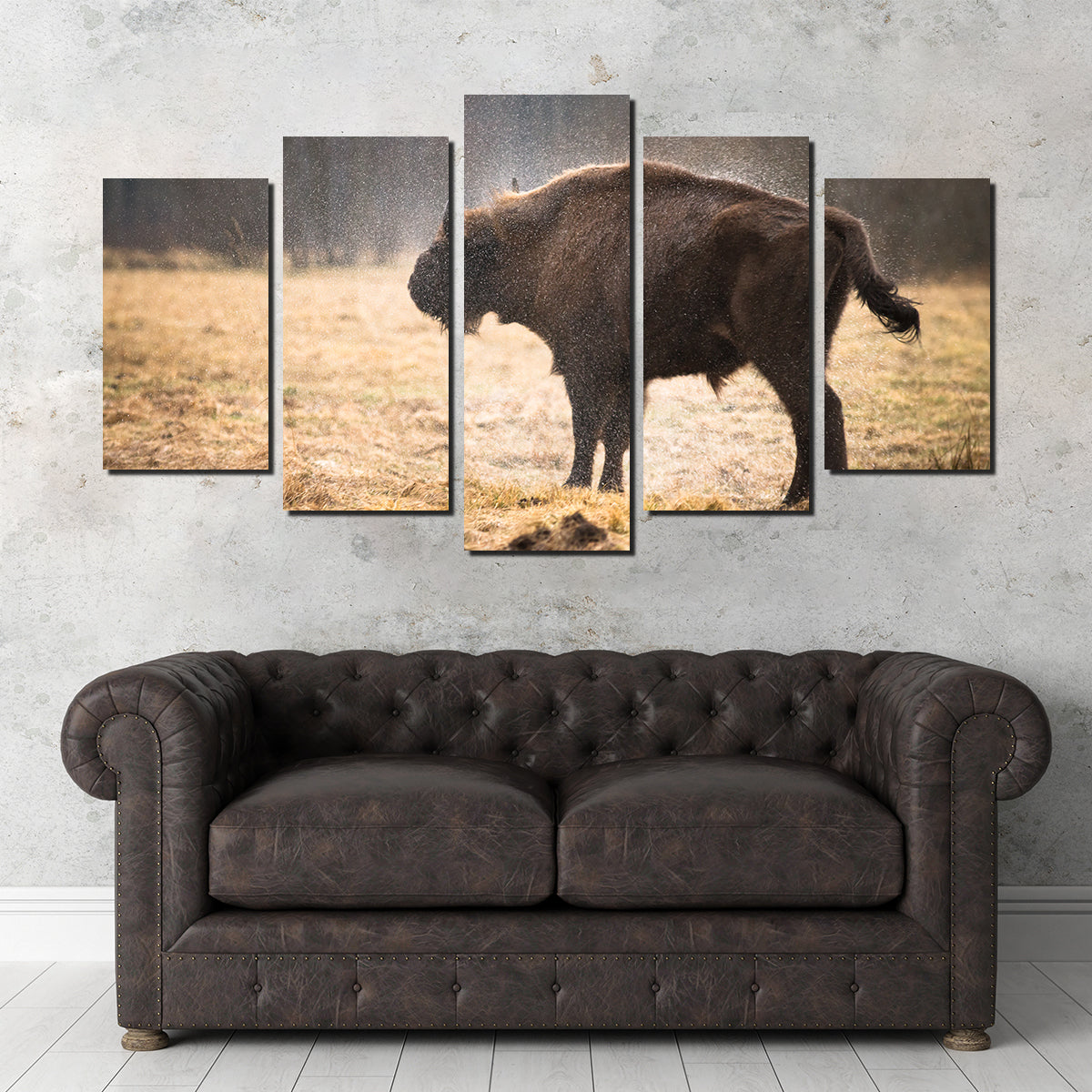 Stunning Wild Bison Shaking off Rain Wall Art for Home Decor
