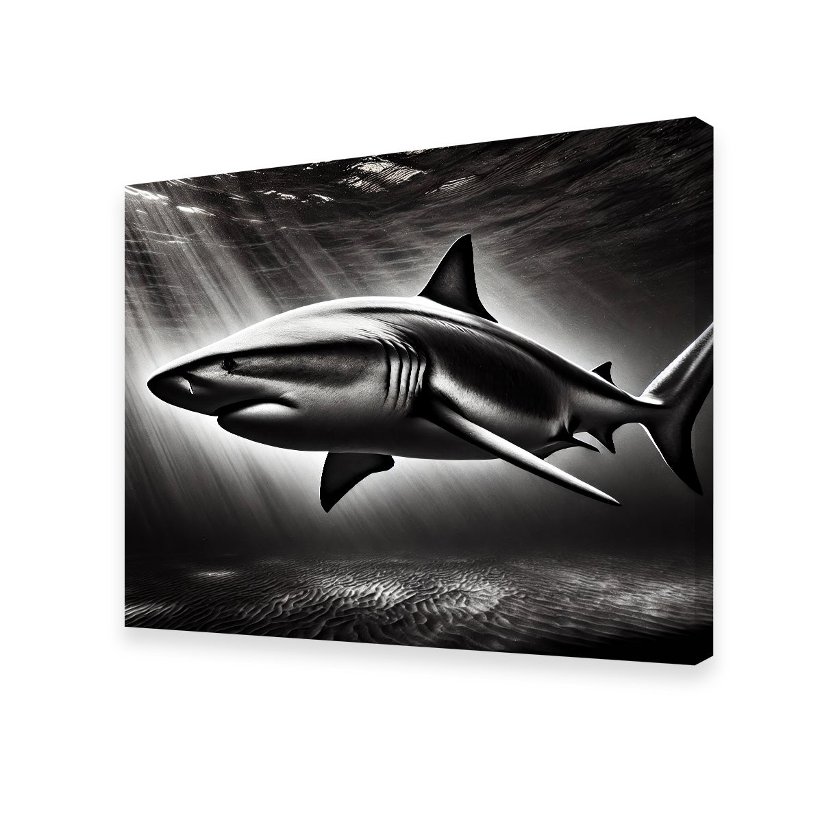 Stunning Bull Shark Grayscale Wall Art for Home Decor