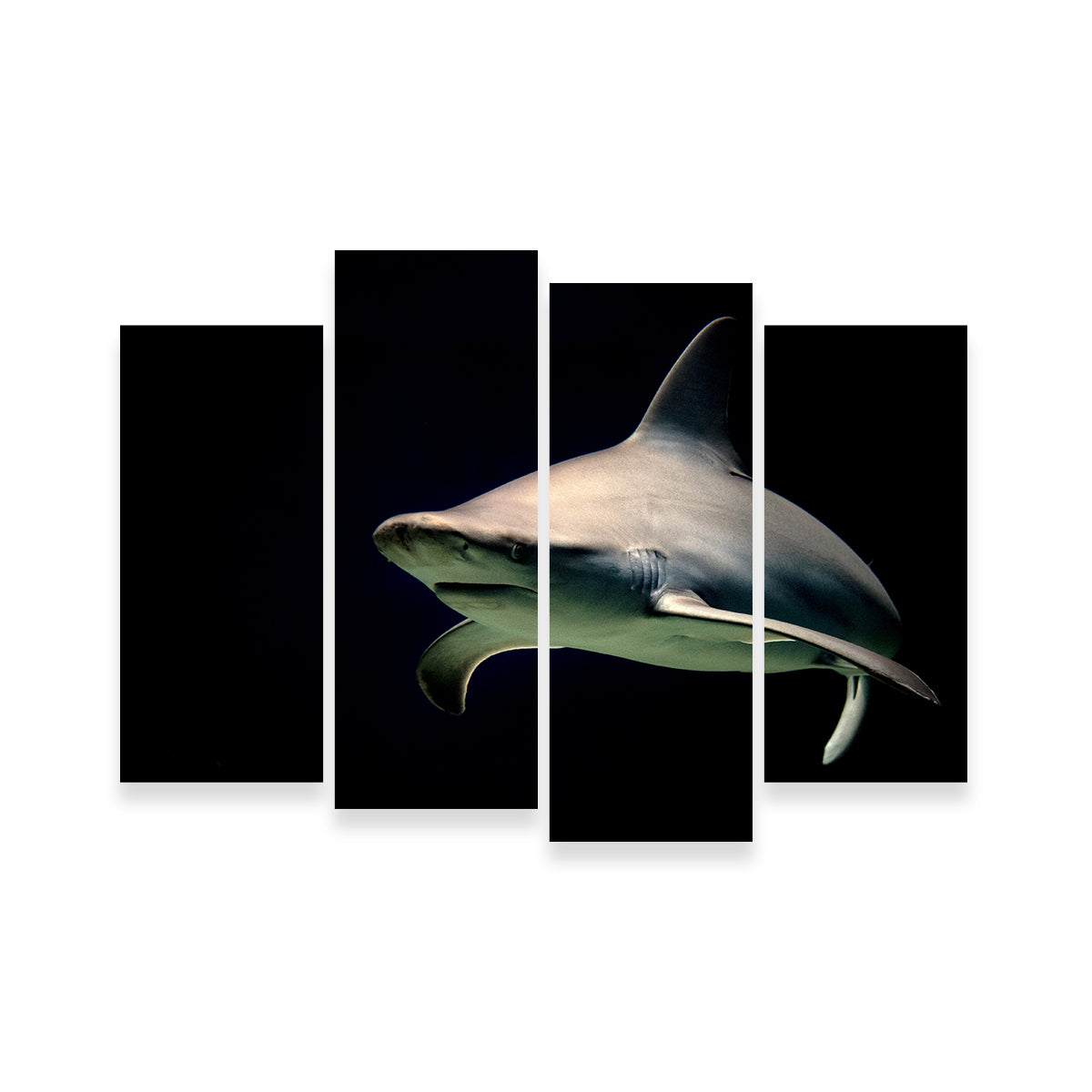 Stunning Bull Shark at Night Wall Art for Your Home Decor