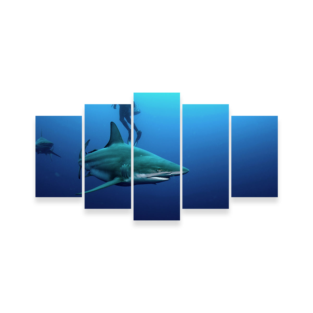 Stunning Bull Shark & Diver Wall Art for Your Home Decor