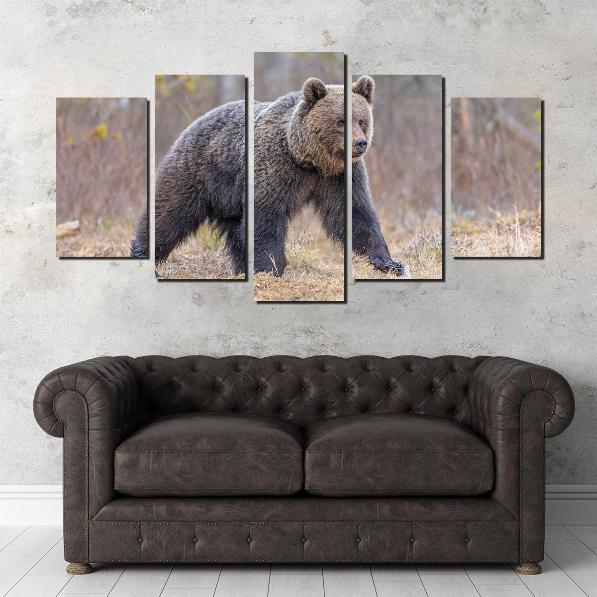 Stunning Eurasian Brown Bear Wall Art for Your Home Decor
