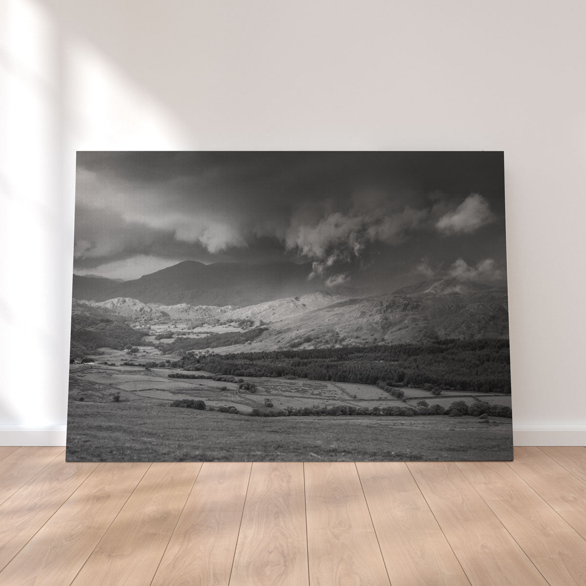 Stormy Fields Exquisite Wall Art by Mike Cotton