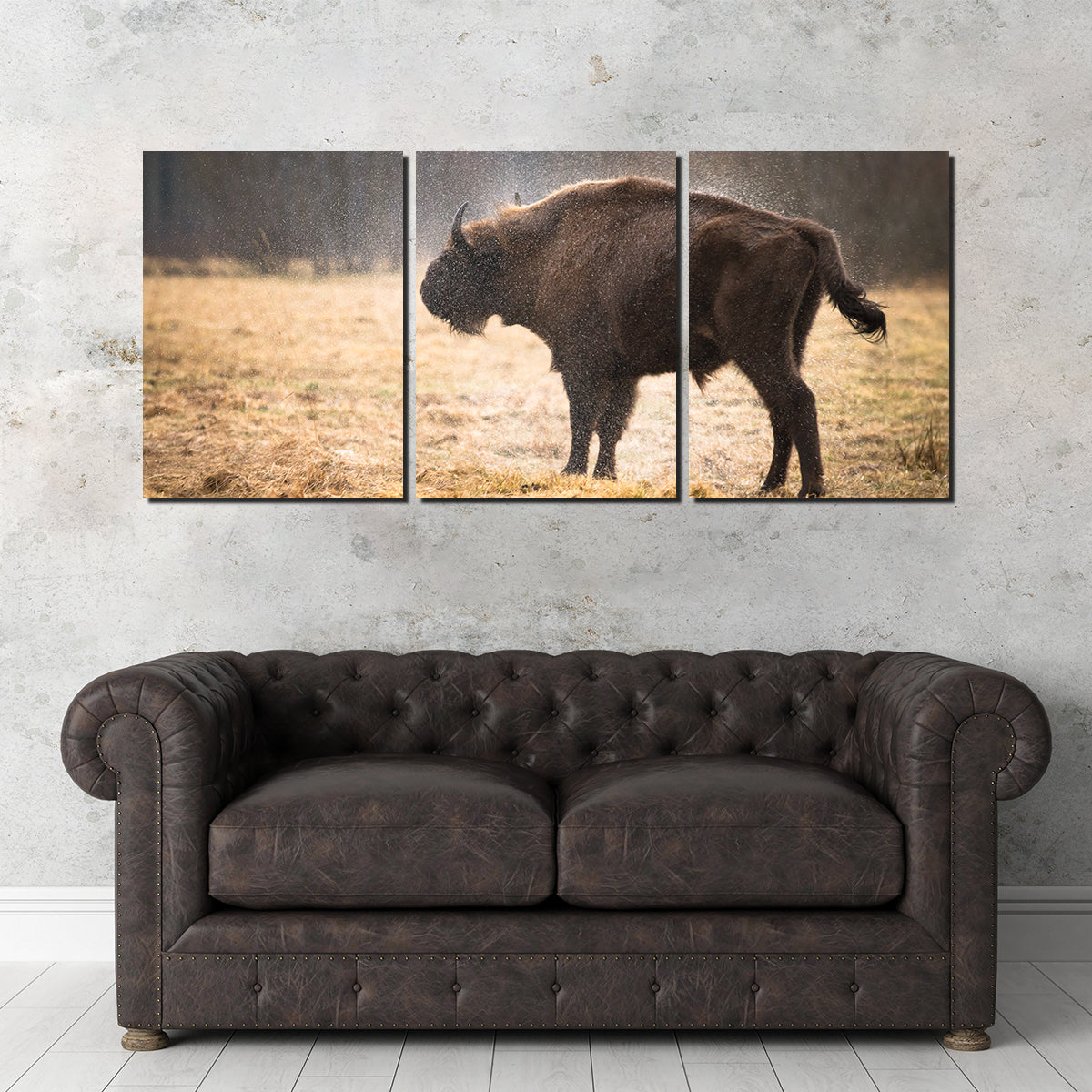 Stunning Wild Bison Shaking off Rain Wall Art for Home Decor