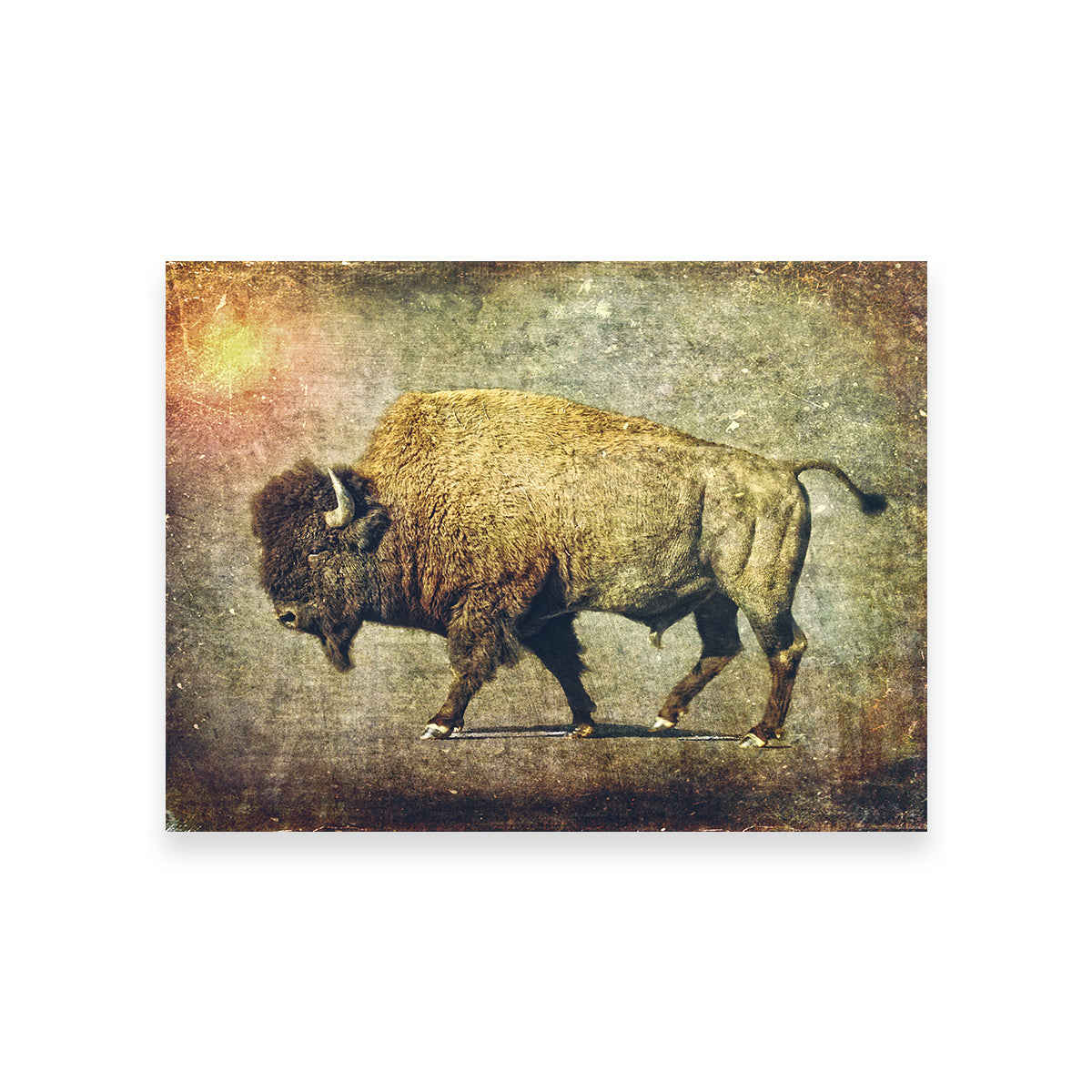 Exquisite Buffalo Art Wall Art for Home Decor