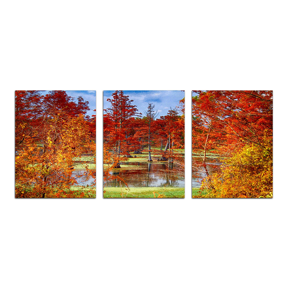 Stunning Lake Conway Cypress Trees Wall Art for Your Home Decor