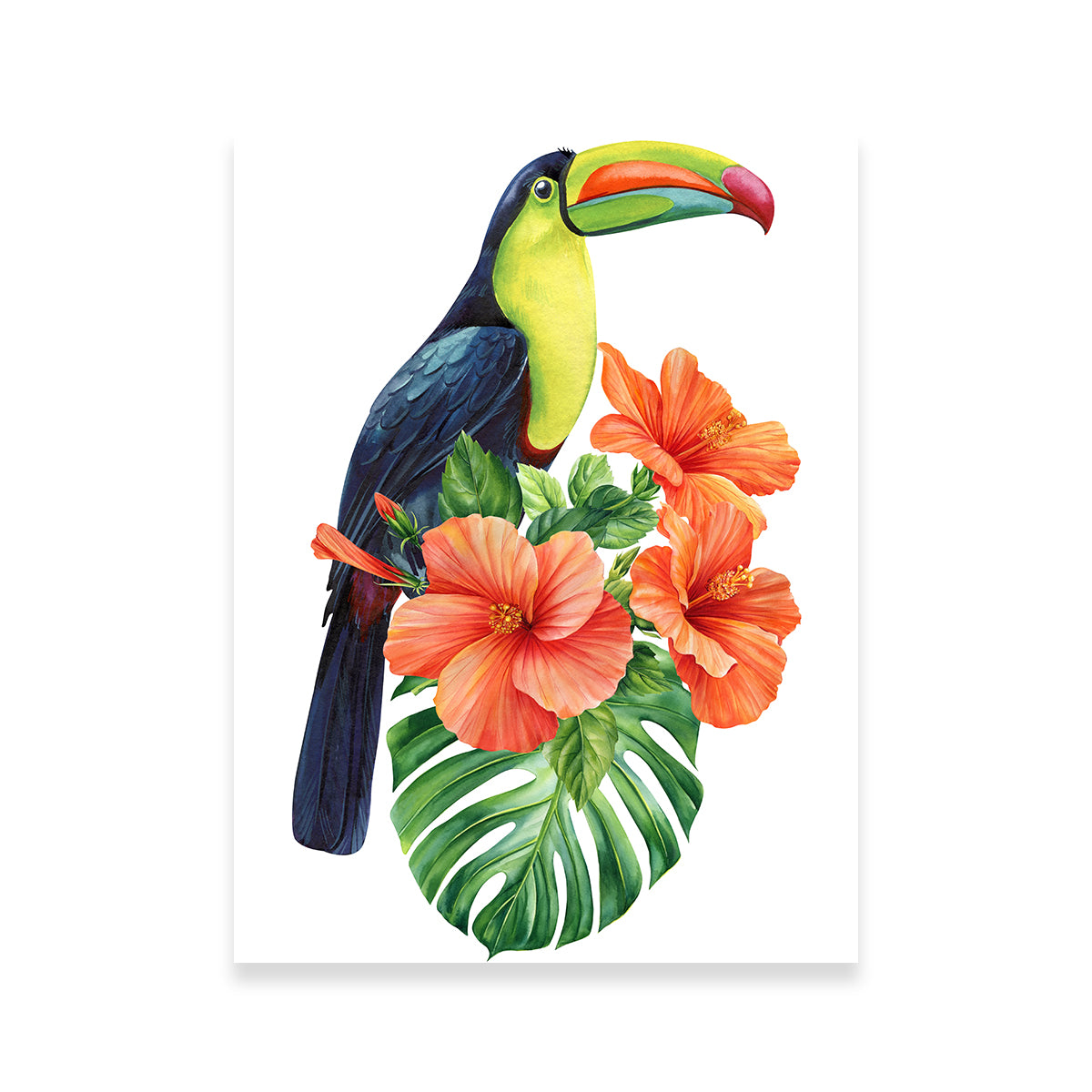Stunning Toucan Vintage Orange Wall Art for Decorative Appeal