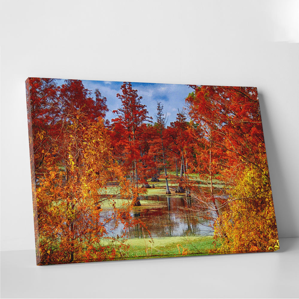 Stunning Lake Conway Cypress Trees Wall Art for Your Home Decor