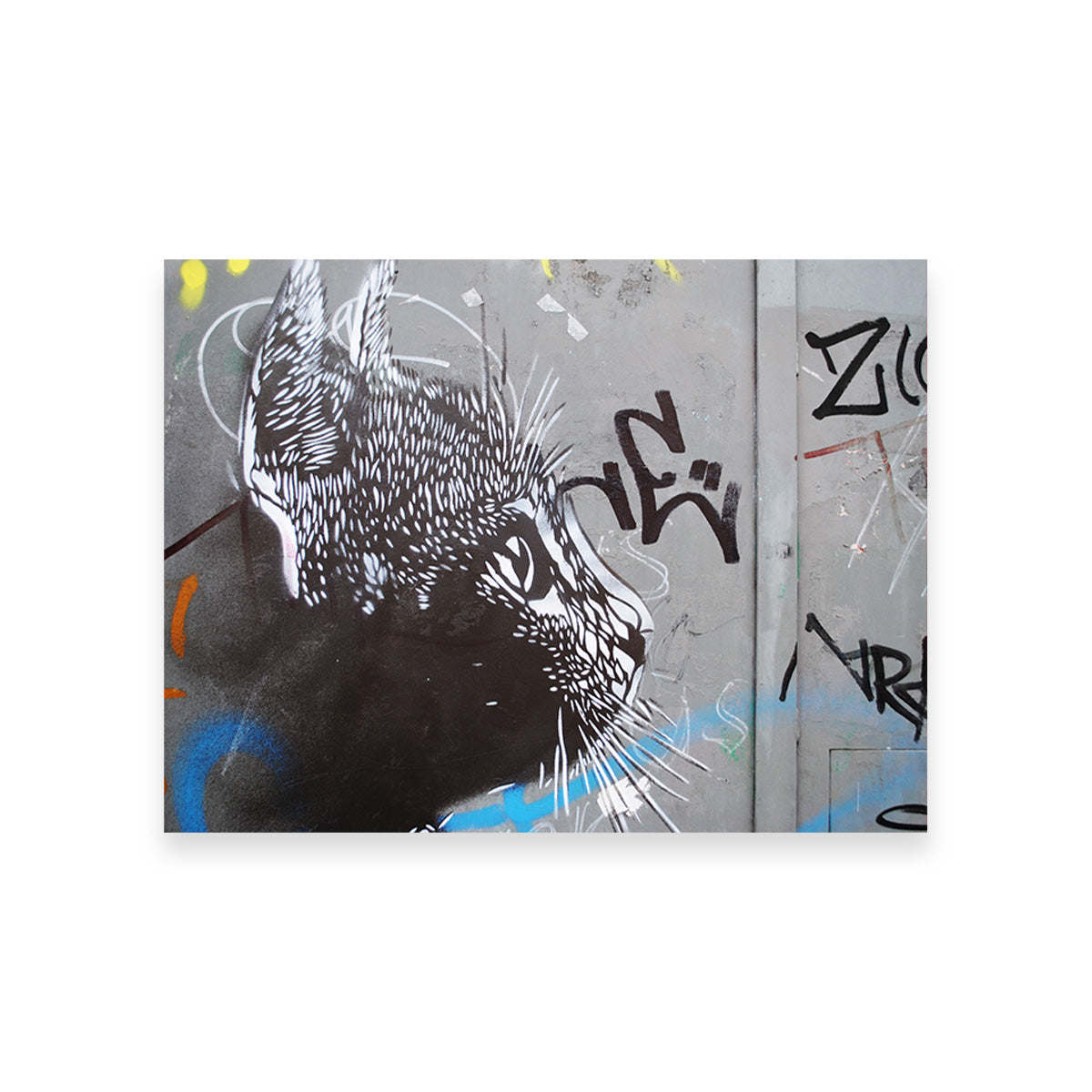 Eye - catching Street Art Cat Wall Art for Stunning Decor