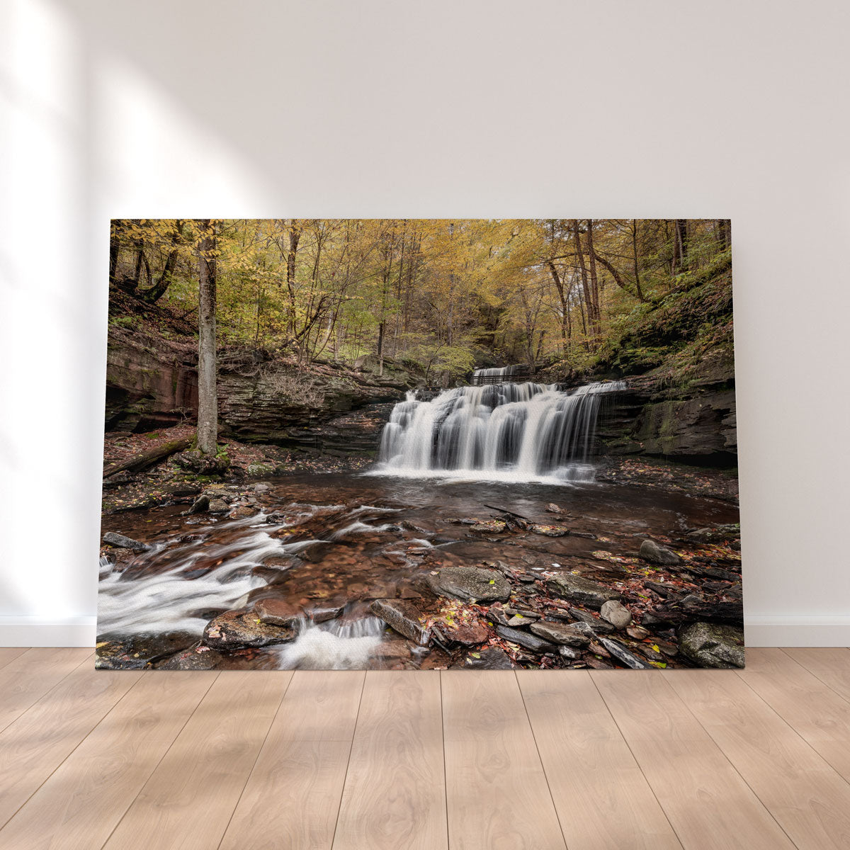 Stunning Who Loves Color Wall Art by Shaun Mayer