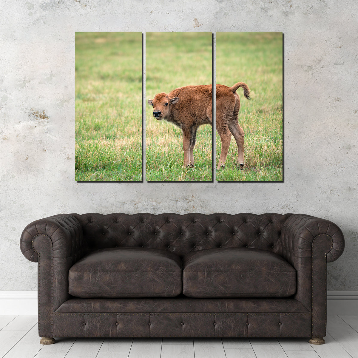 Exquisite Buffalo Calf Wall Art for Home Decor